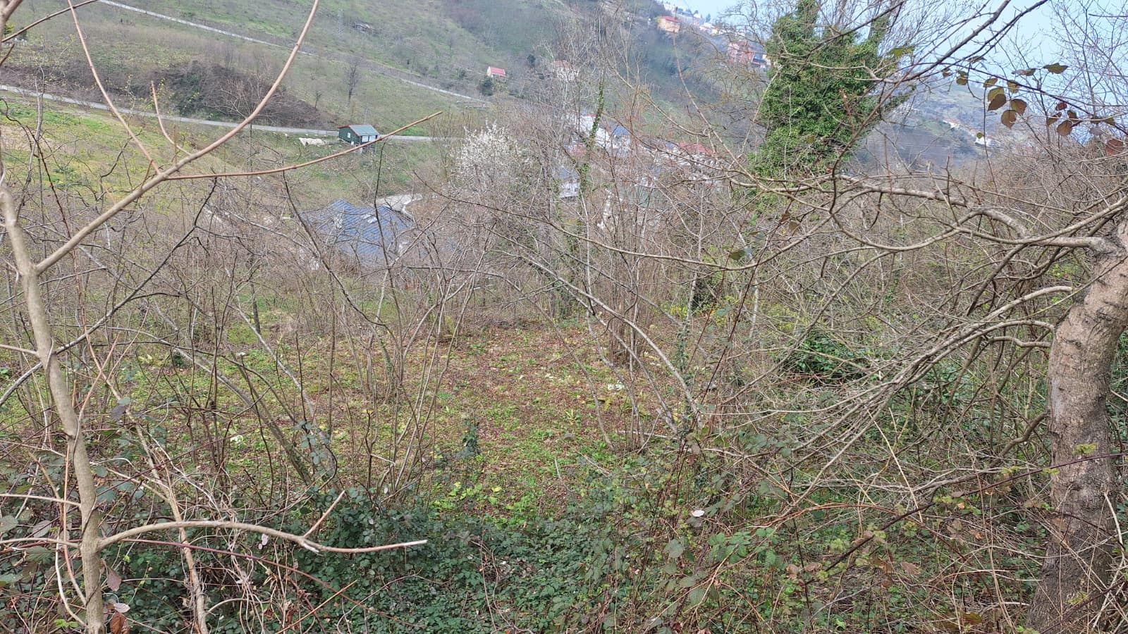 MABELDEN KİREÇHANEDE SATILIK ARSA